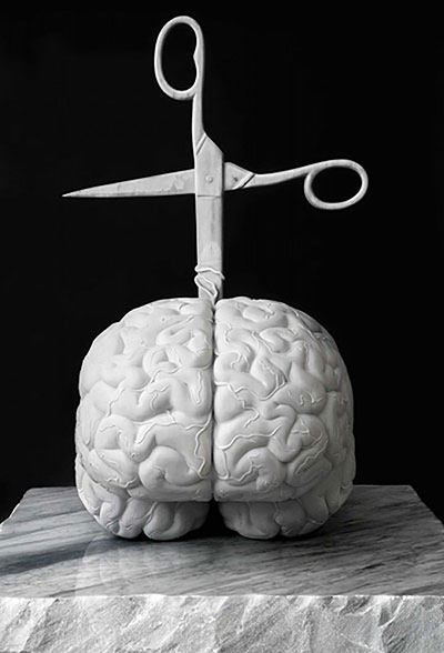 Jan Fabre. Do we Feel with our brain and think with our heart?